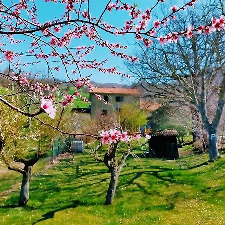 B&B Luna E Stelle Премилькуоре Экстерьер фото